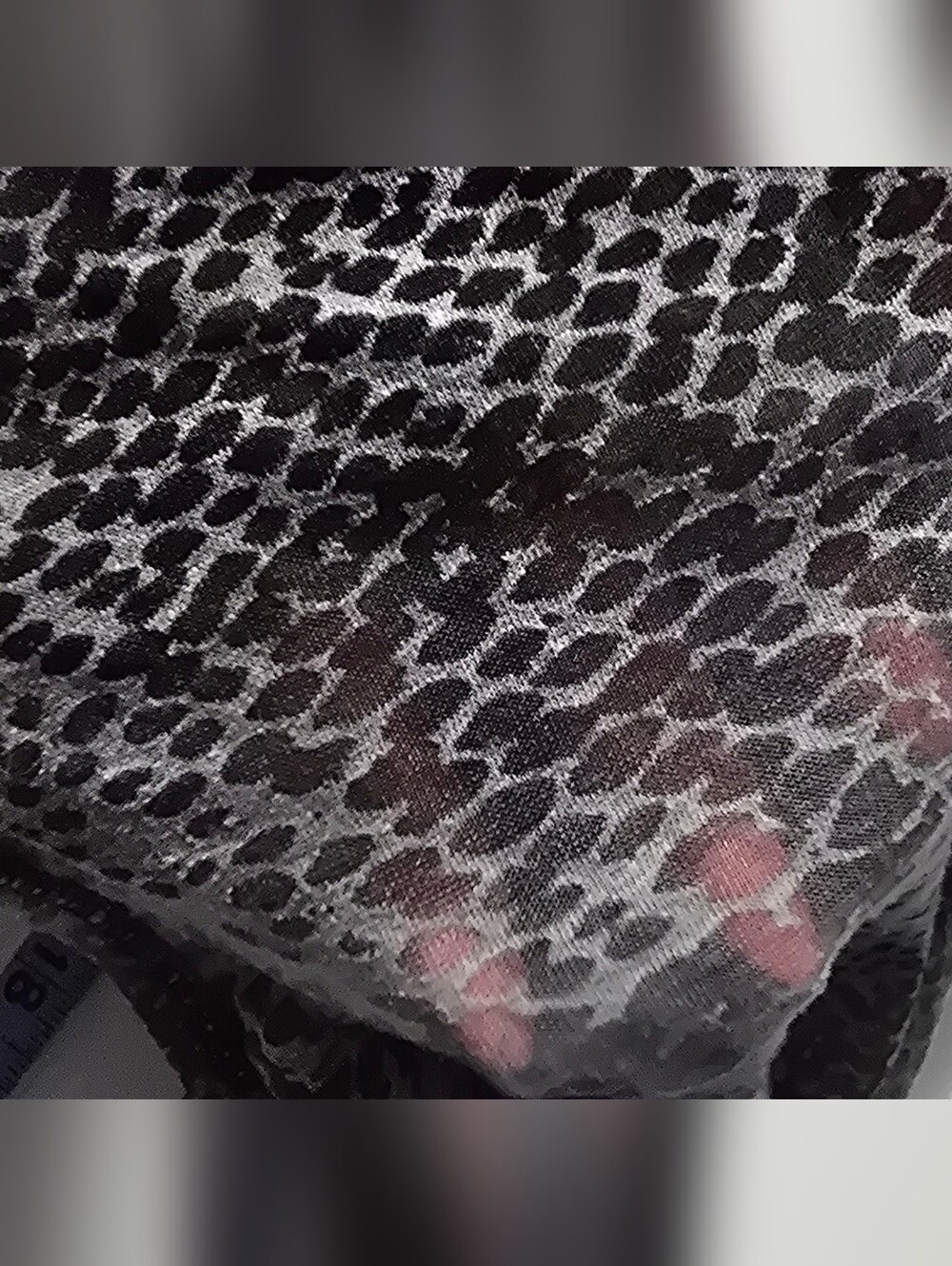 Express Gray Snake-Print Long Sleeve Scoop Neck Top Semi-sheer - Picture 5 of 6